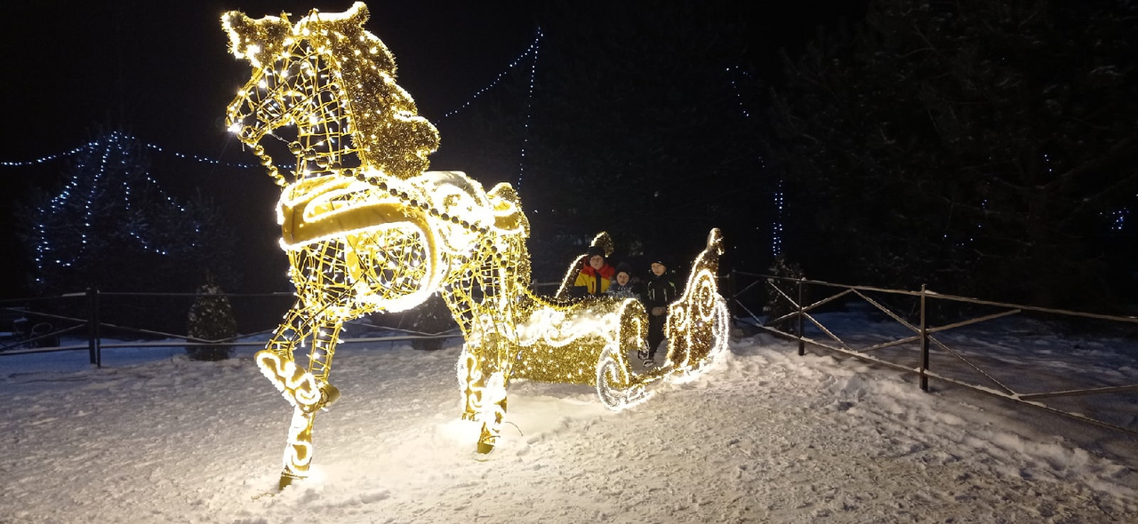 Новогодние световые фигуры «Золотая лошадь с санями» - фото 2 - id-p197203073