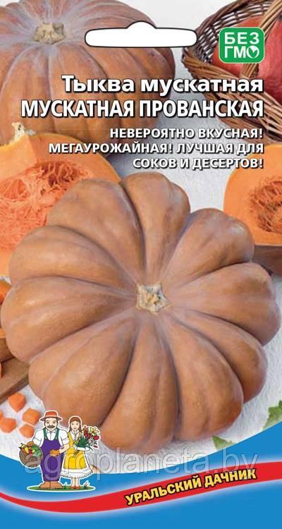 Тыква МУСКАТНАЯ ПРОВАНСКАЯ, 5 шт.
