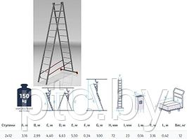 Лестница алюм. 2-х секц. 299/550см 2х12 ступ., 12,0кг PRO STARTUL (ST9946-12)