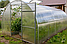 Теплица Двойная Фора 4м (каркас), фото 9