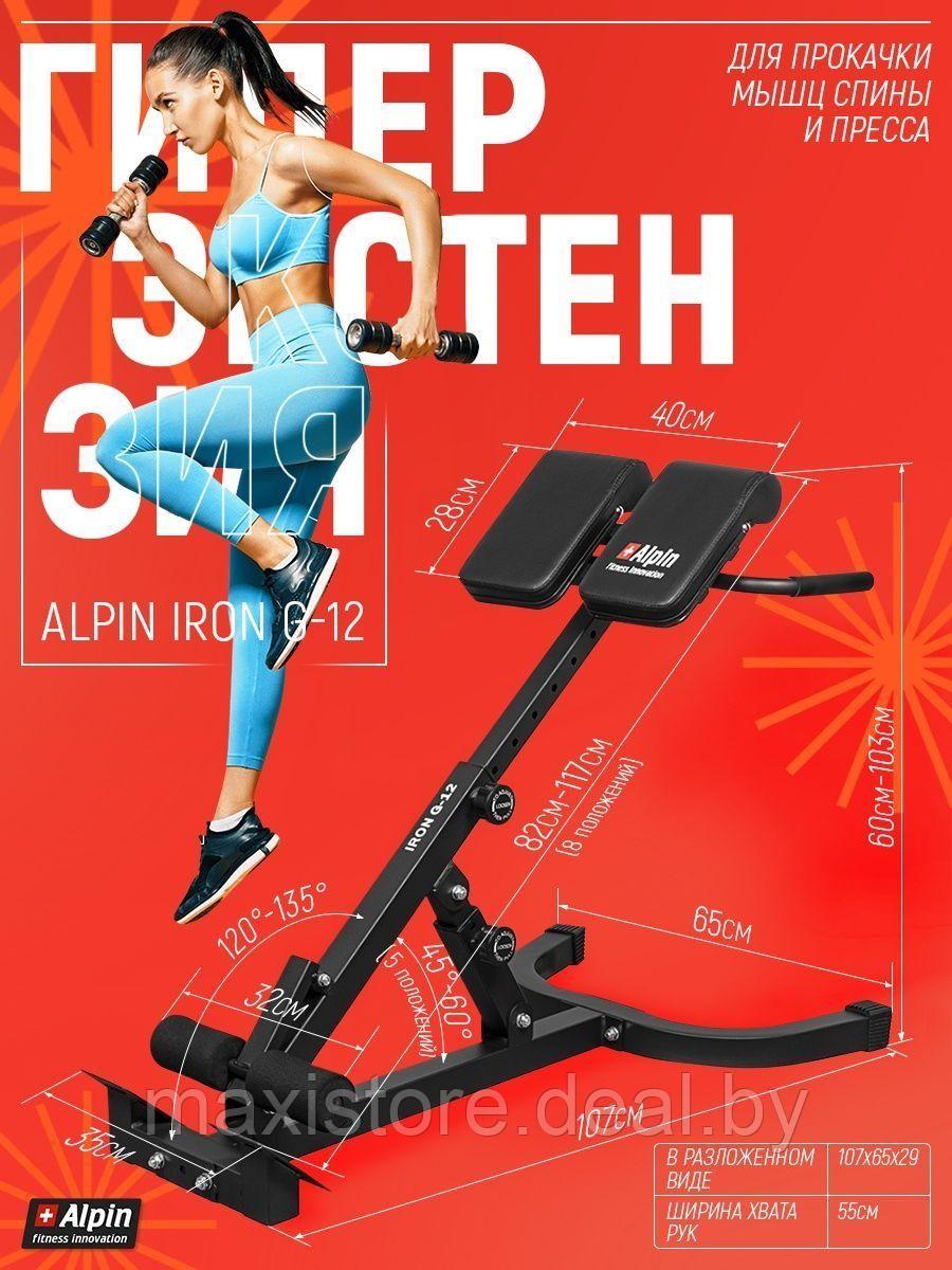 ГИПЕРЭКСТЕНЗИЯ ALPIN IRON G-12 - фото 2 - id-p197325142