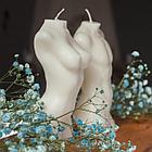 Комплект торсов Мужчина и женщина, фото 2