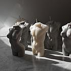 Комплект торсов Мужчина и женщина, фото 3