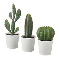 IKEA/ ФЕЙКА искусственное растение в горшке,3шт, 6 см, для дома улицы кактус