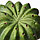 IKEA/ ФЕЙКА искусственное растение в горшке,3шт, 6 см, для дома улицы кактус, фото 3