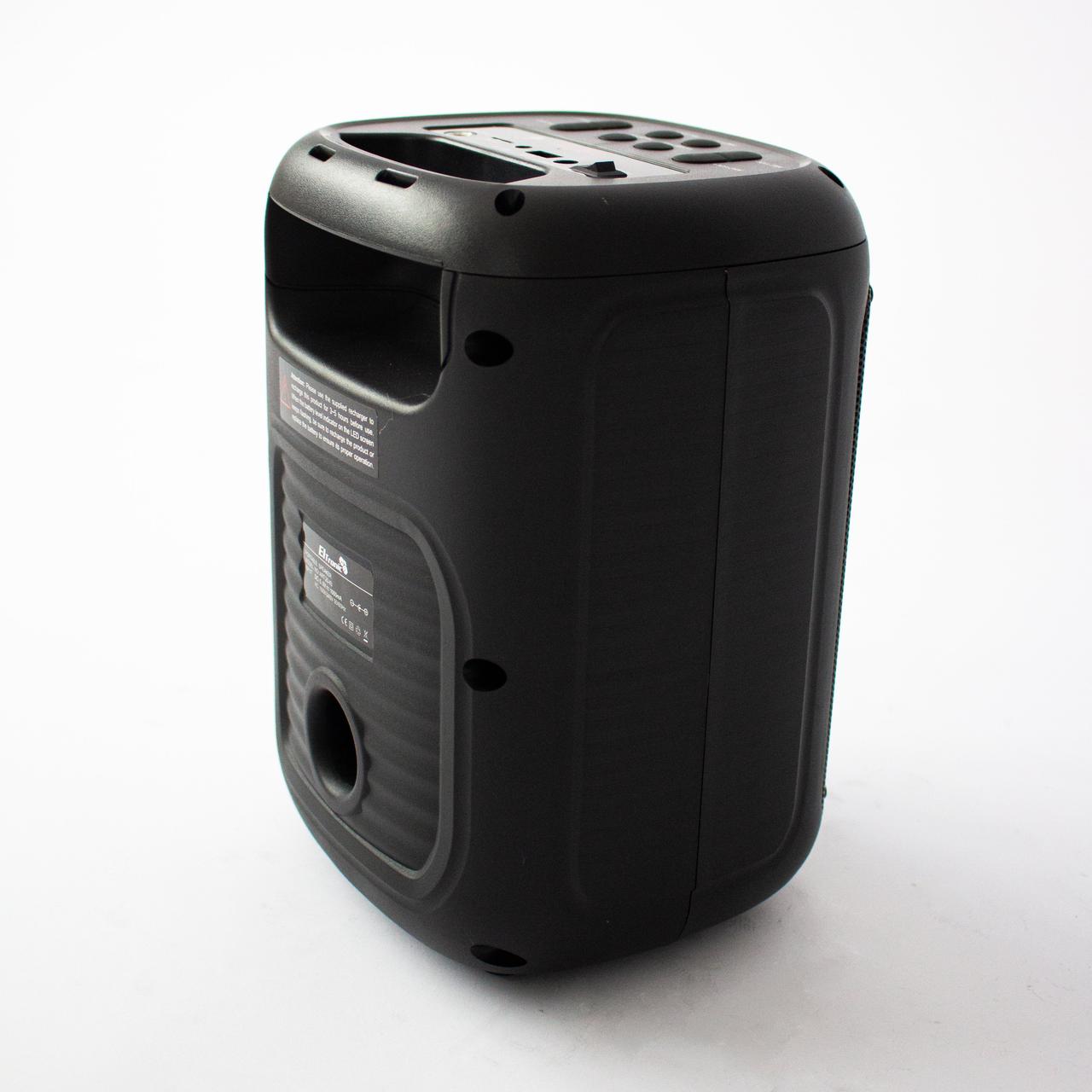 Портативная беспроводная bluetooth колонка Eltronic CRAZY BOX 100 Watts арт. 20-43 с LED-подсветкой и RGB - фото 4 - id-p196949890