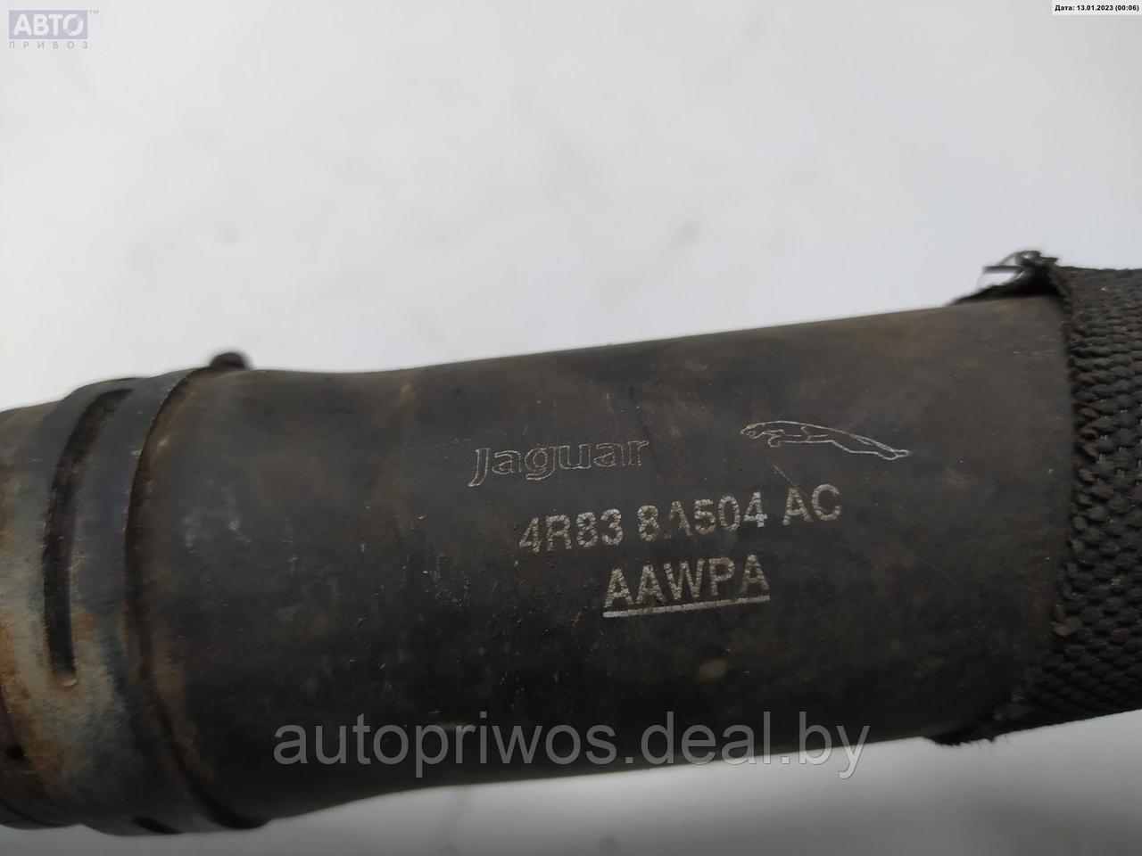 Патрубок радиатора Jaguar XF - фото 3 - id-p153860563