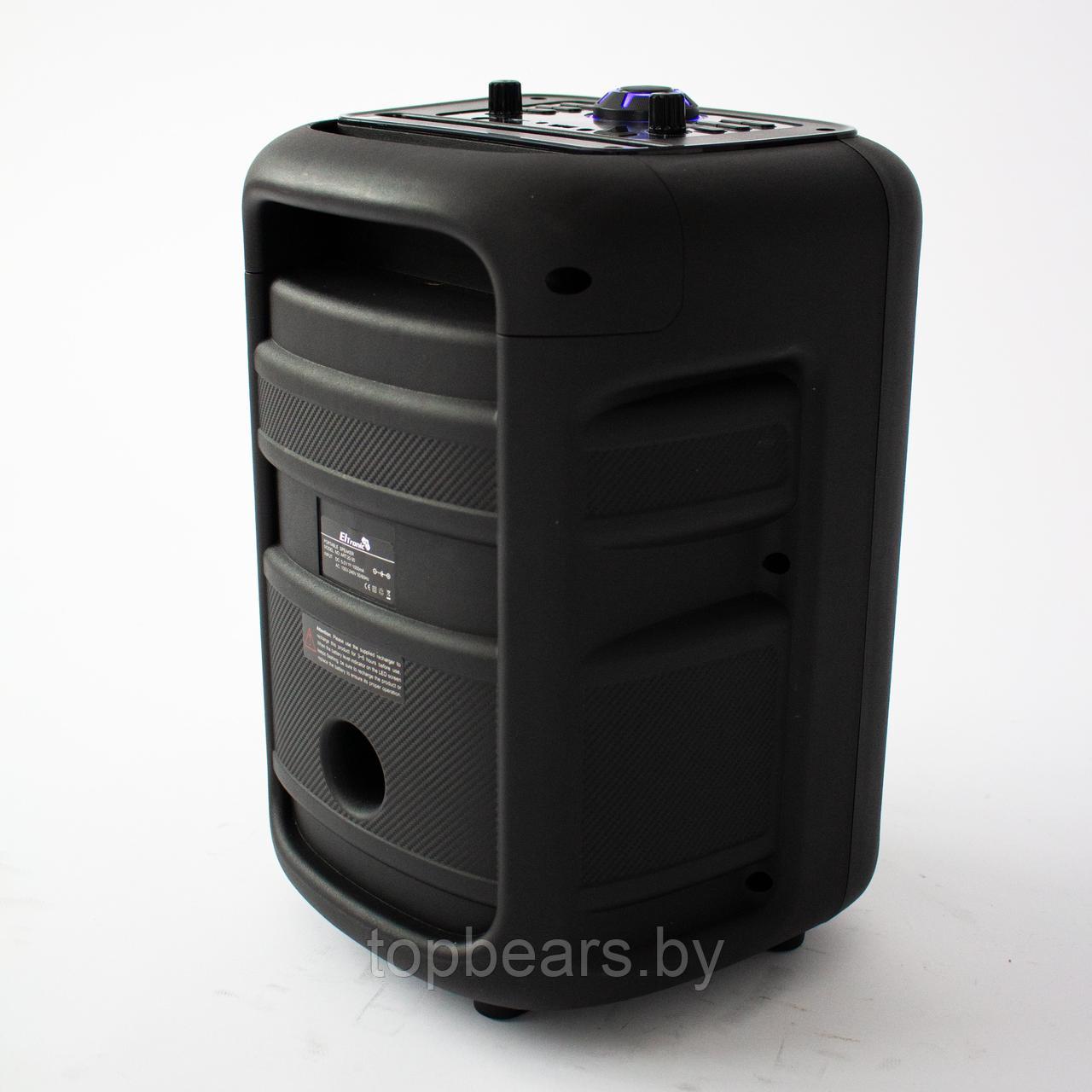 Портативная беспроводная bluetooth колонка Eltronic CRAZY BOX 100 Watts арт. 20-30 с проводным микрофоном и - фото 4 - id-p197369627