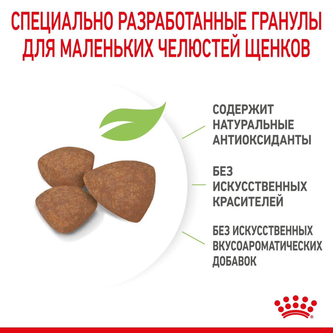 Сухой корм для собак ROYAL CANIN Mini Puppy сухой корм для щенков в возрасте до 10 месяцев. 0.8 кг Франция - фото 4 - id-p197370947