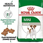 Сухой корм ROYAL CANIN Mini Adult  для взрослых собак мелких размеров 800гр., фото 2