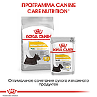 Сухой корм ROYAL CANIN Mini Dermacomfort для собак мелких пород при раздражениях и зуде кожи 1кг., фото 2