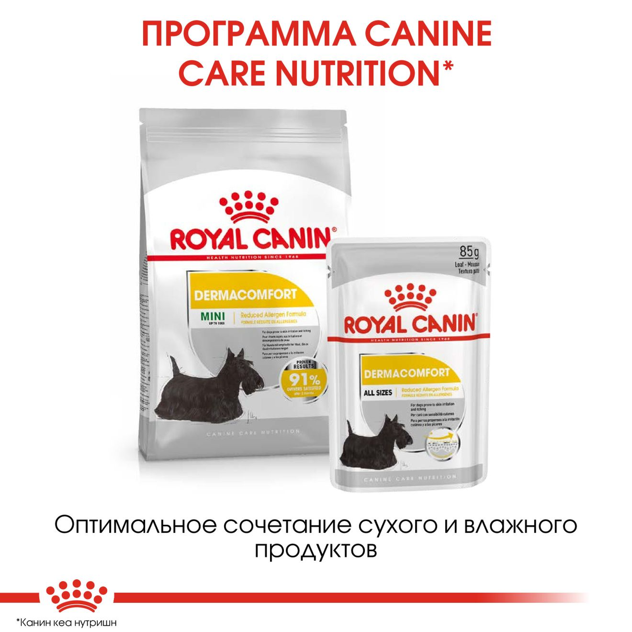 Сухой корм для собак ROYAL CANIN Mini Dermacomfort сухой корм д/собак мелких размеров при раздражениях и - фото 2 - id-p148073587