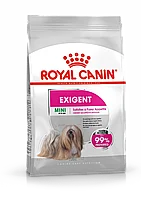 Сухой корм для собак ROYAL CANIN Mini Exigent сухой корм для взрослых и стареющих собак, привередливых в