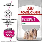 Сухой корм для собак ROYAL CANIN Mini Exigent сухой корм для взрослых и стареющих собак, привередливых в, фото 2