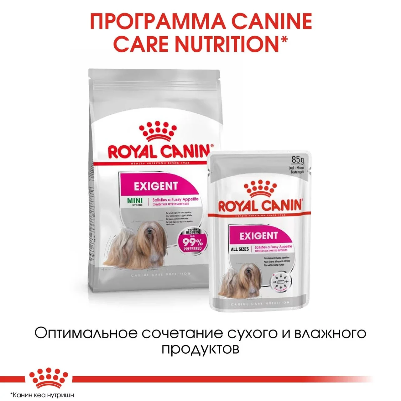 Сухой корм для собак ROYAL CANIN Mini Exigent сухой корм для взрослых и стареющих собак, привередливых в - фото 3 - id-p197376295