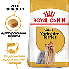 Сухой корм ROYAL CANIN Yorkshire Terrier Adult  для взрослых собак породы йоркширский терьер 1.5кг, фото 3
