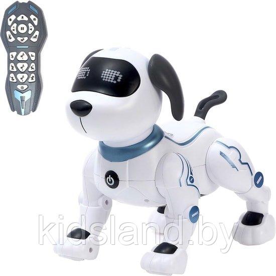 Собака-робот на радиоуправлении - серия "Пультовод" ZYA-A2875 - фото 1 - id-p197378989