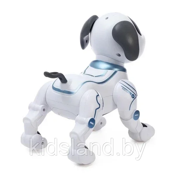 Собака-робот на радиоуправлении - серия "Пультовод" ZYA-A2875 - фото 4 - id-p197378989