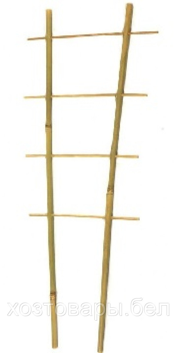 Лесенка бамбуковая 45см 8-10 мм - фото 1 - id-p197372137