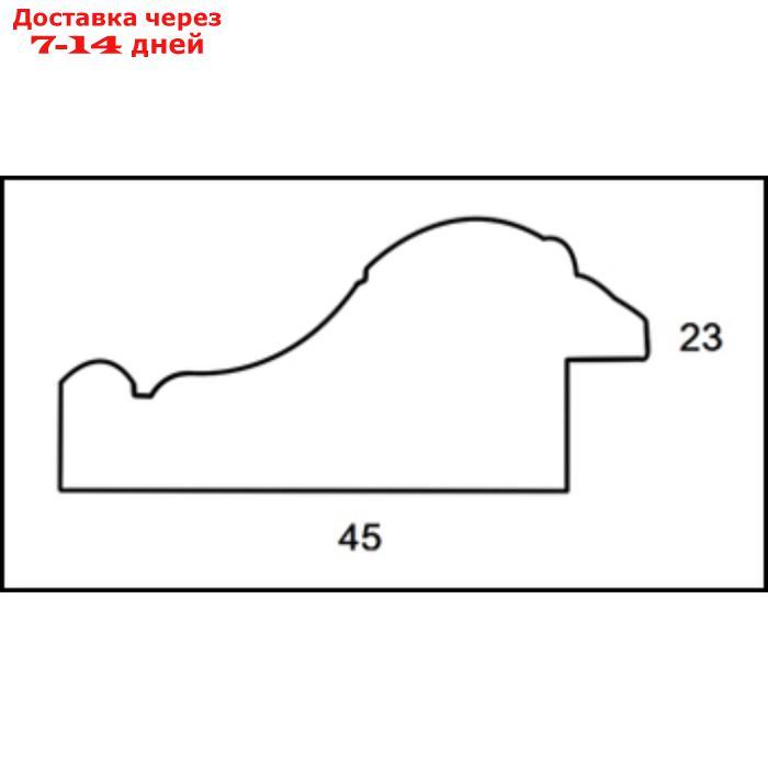 Рама для картин (зеркал) 40 х 50 х 4.5 см, пластиковая, Charlotta золото - фото 4 - id-p197349912