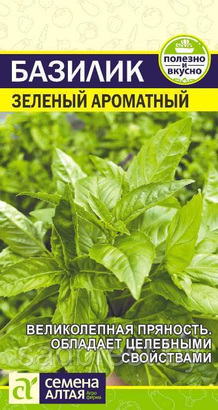 Семена Базилик Зеленый ароматный (0,3 гр) Семена Алтая