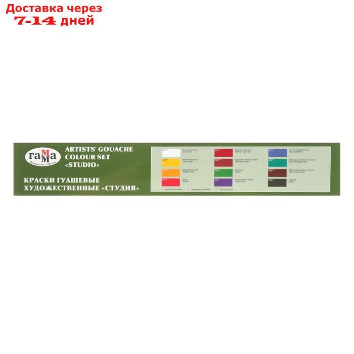 Гуашь художественная, набор 12 цветов по 40 мл, "Гамма" "СТУДИЯ" - фото 3 - id-p197350074