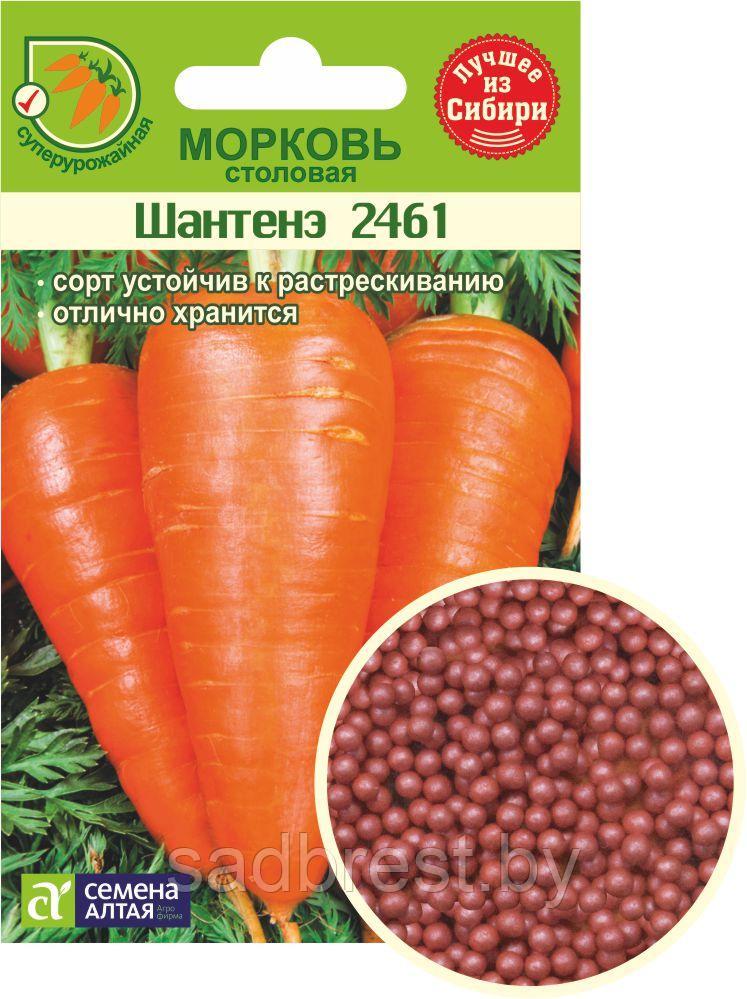 Семена Морковь в гранулах Шантане 2461 (300 шт) Семена Алтая - фото 1 - id-p197384416