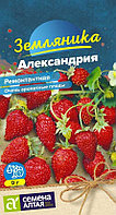 Семена Земляника ремонтантная Александрия (0,05 гр) Семена Алтая