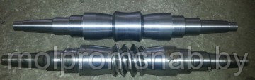 4аг-125.101 Вал червячный Z=3