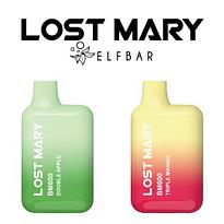 LOST MARY