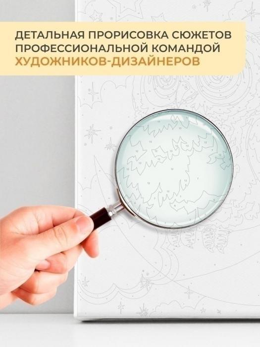 Картины по номерам на холсте Девушка природа горы на подрамнике 40х50 рисование живопись - фото 9 - id-p197522718