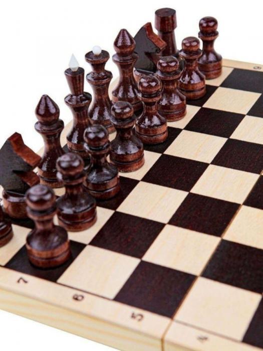 Шахматы деревянные подарочные для детей и взрослых большие - фото 5 - id-p197523320