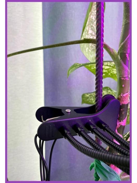 Фитолампа для рассады 4 лампы фитосветильник для растений цветов на прищепке - фото 10 - id-p197523421