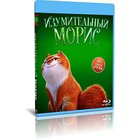 Изумительный Морис (2022) (BLU-RAY Видеофильм)