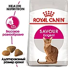 Сухой корм Royal Canin Savour Exigent для привередливых кошек от 1 года 2кг., фото 2