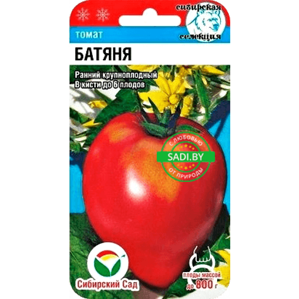 Томат Батяня 20 шт, Сибирский сад - фото 1 - id-p197603128
