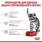 Корм сухой ROYAL CANIN Kitten Sterilised-  для стерилизованных котят   (от 6 до 12 месяцев) 400гр., фото 3