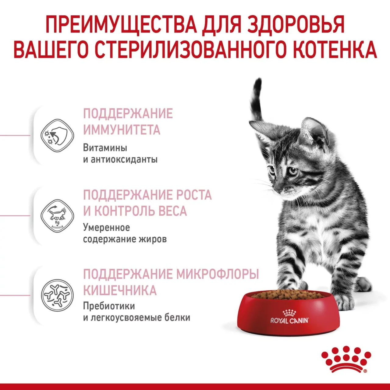 ROYAL CANIN Kitten Sterilised- сухой корм для стерилизованных котят ( от 6 до 12 месяцев)400гр - фото 3 - id-p197609798