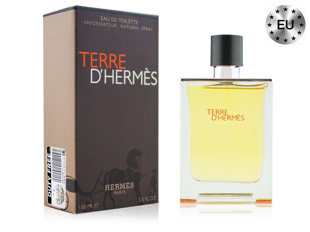 Мужская туалетная вода Hermes Terre D'Hermes edt 100ml (PREMIUM) - фото 1 - id-p197612119