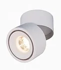 Точечный светильник Elektrostandard DLR031 15W 4200K 3100