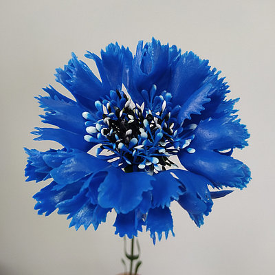 Василек искусственный 50 см, синий