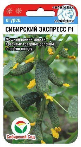 Огурец "Сибирский экспресс" F1, 7 шт. СибСад