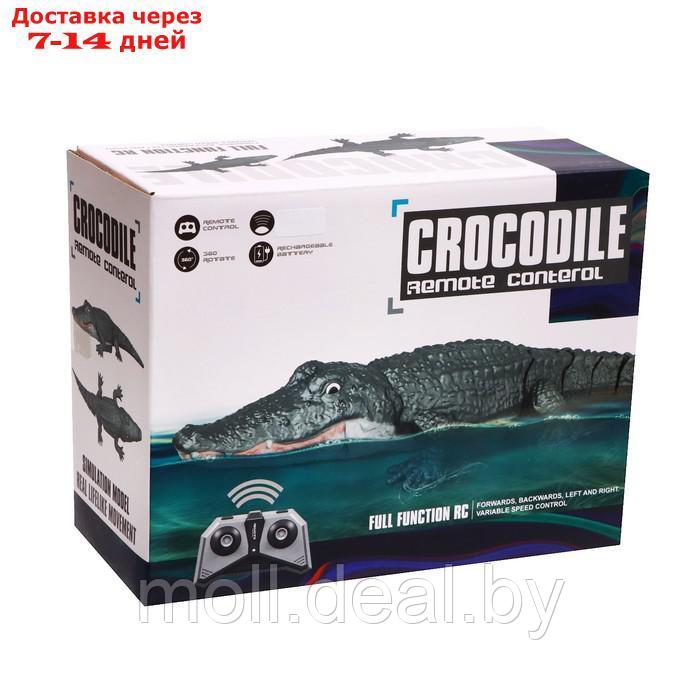 Крокодил радиоуправляемый, плавает, работает от батареек, цвет зеленый - фото 7 - id-p197644369