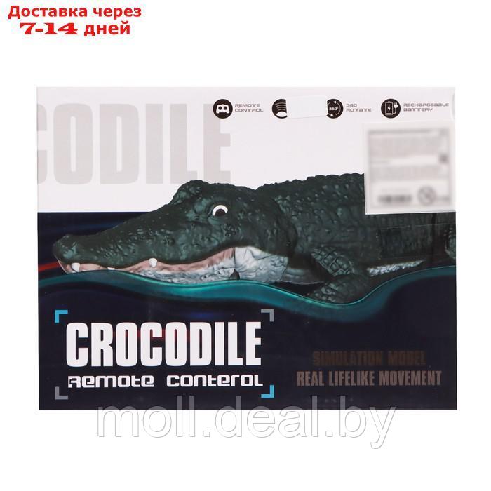 Крокодил радиоуправляемый, плавает, работает от батареек, цвет зеленый - фото 8 - id-p197644369