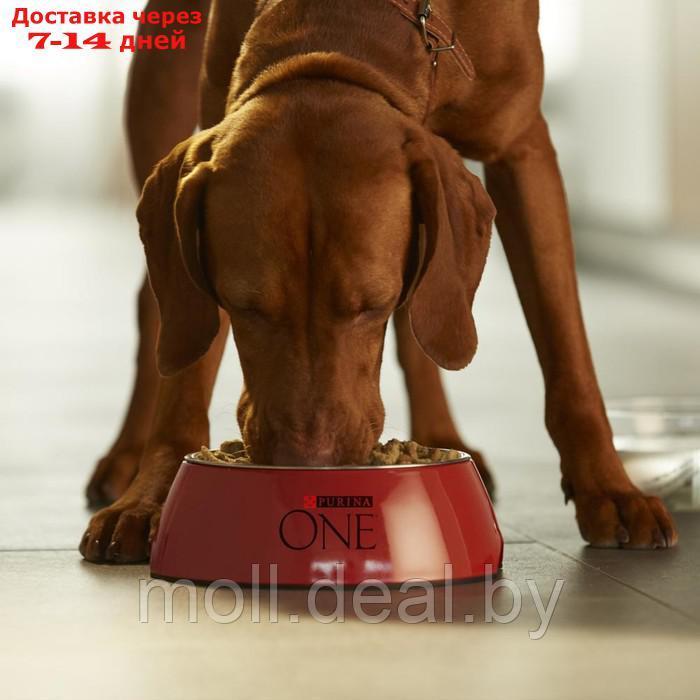 Сухой корм Purinа One medium/maxi для взрослых собак, говядина/рис, 10 кг - фото 9 - id-p197642648