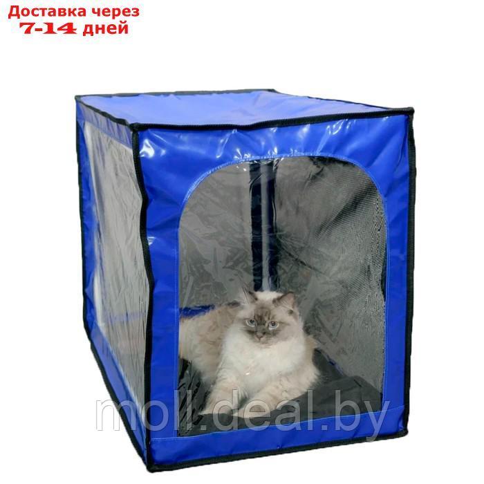 Палатка для кошек и малых пород собак, выставочная, с ковриком, разборная, 550 х 450 х 450 мм 9235 - фото 4 - id-p197645045