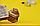 Деревянный конструктор-головоломка (сборка без клея) "Лабиринт Пчелы и мед" UNIWOOD, фото 4