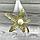 Бижутерия брошь "Пятилистный клевер" 4 см Цвет Серебро, фото 7