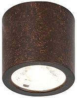 Потолочный светильник Favourite 2809-1C