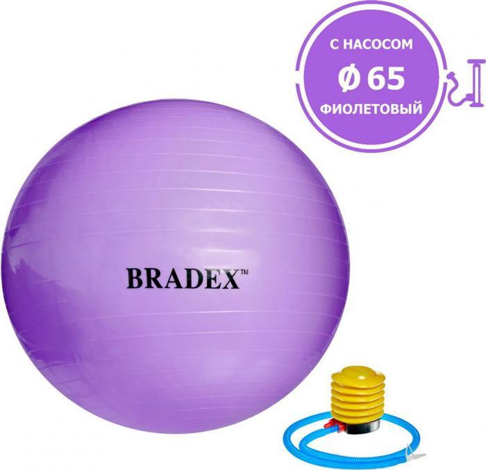 Мяч для фитнеса «ФИТБОЛ-65» Bradex SF 0718 с насосом, фиолетовый (Fitness Ball 65 сm with pump. Pantone number - фото 1 - id-p197347787